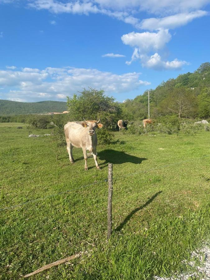 Kuca Za Odmor Ema