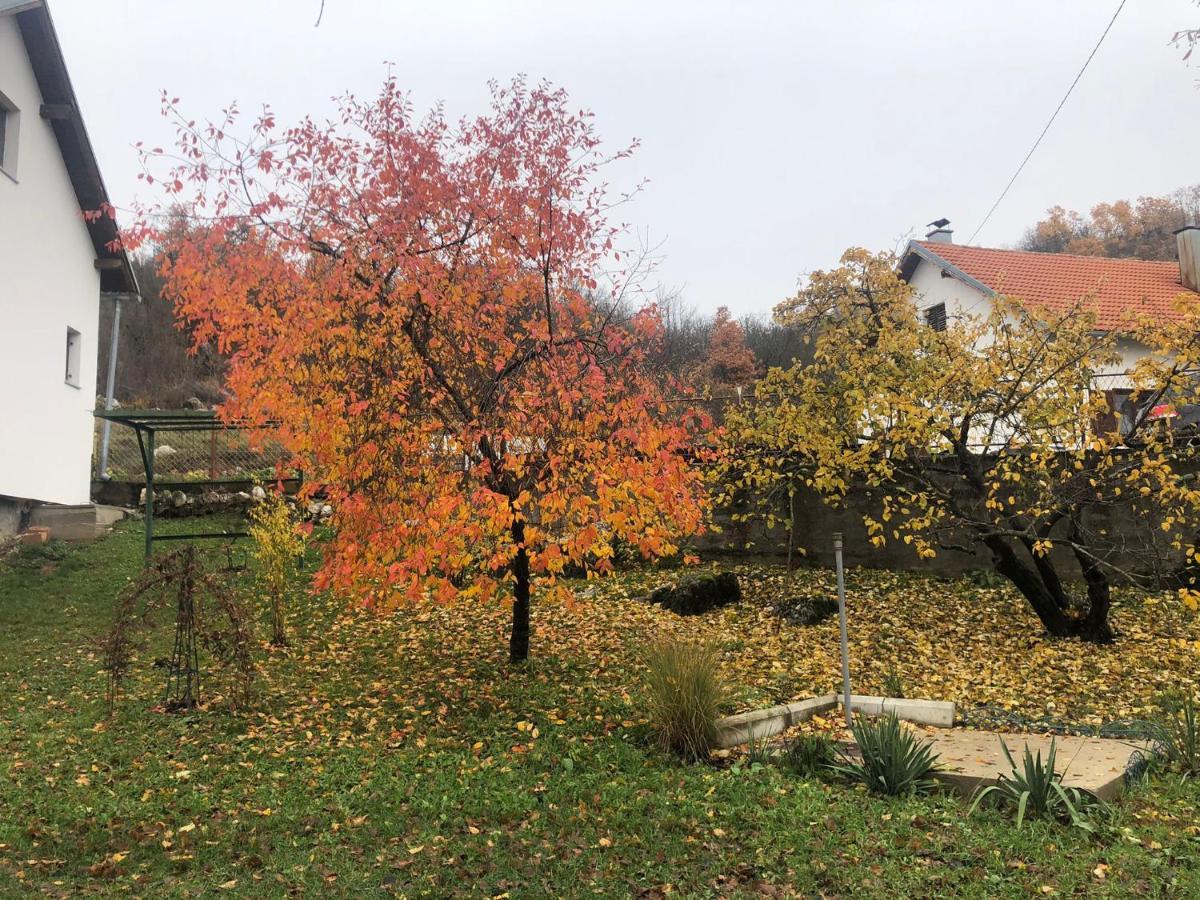 Apartment Kuca Za Odmor Ema *